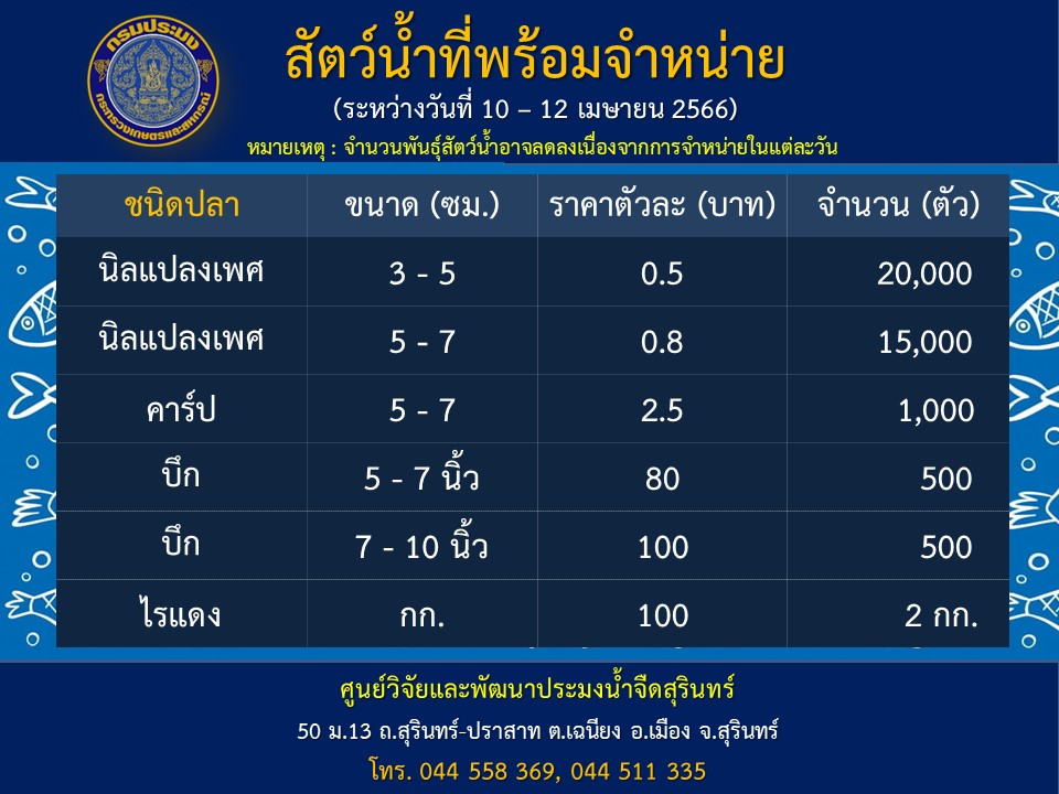 ปลาพร้อมจำหน่าย วันที่ 10 - 12 เมษายน 2566
