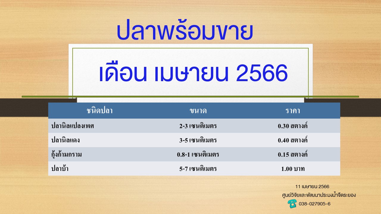 ปลาพร้อมขาย วันที่ 11 เมษายน 2566..คลิก