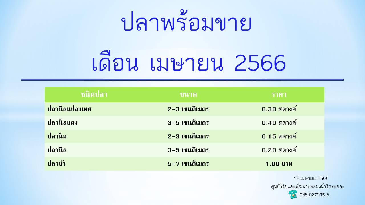 ปลาพร้อมขาย วันที่ 12 เมษายน 2566..คลิก