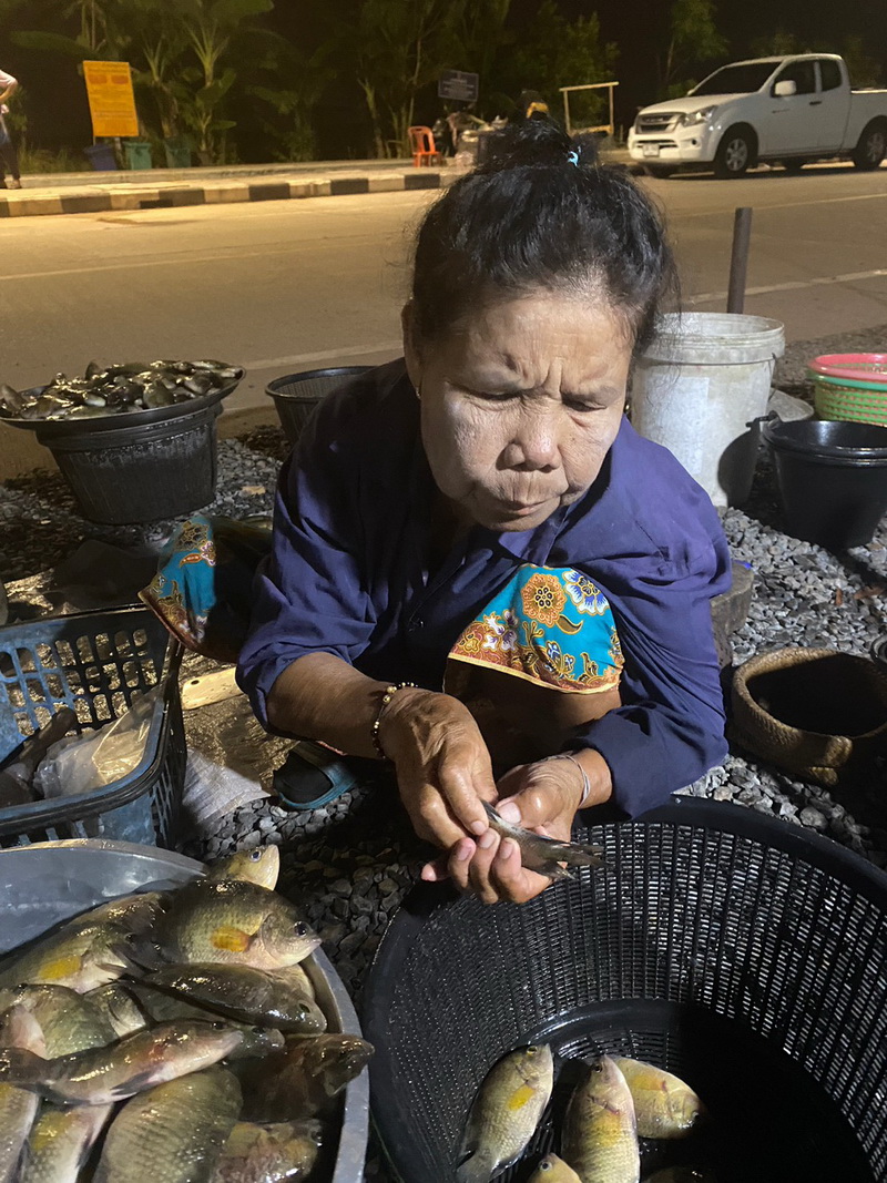 ดำเนินการสำรวจตัวอย่างปลาน้ำจืดมีไข่ ในพื้นที่ทะเลน้อยจังหวัดพัทลุง
