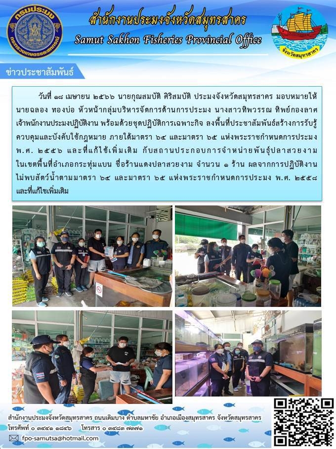 วันที่ 18 เมษายน 2566 นายกุณสมบัติ ศิริสมบัติ ประมงจังหวัดสมุทรสาคร มอบหมายให้นายฉลอง  ทองบ่อ หัวหน้ากลุ่มบริหารจัดการด้านการประมง และนางสาวทิพวรรณ ทิพย์กองลาศ เจ้าพนักงานประมงปฏิบัติงาน พร้อมด้วยคณะทำงานในพื้นที่ ลงพื้นที่ประชาสัมพันธ์สร้างการรับรู้ควบคุมและบังคับใช้กฏหมาย ภายใต้มาตรา 64 และมาตรา 65 แห่งพระราชกำหนดการประมง พ.ศ.2556 และที่แก้ไขเพิ่มเติม กับสถานประกอบการจำหน่ายพันธุ์ปลาสวยงามในเขตพื้นที่อำเภอกระทุ่มแบน  จังหวัดสมุทรสาคร..คลิก