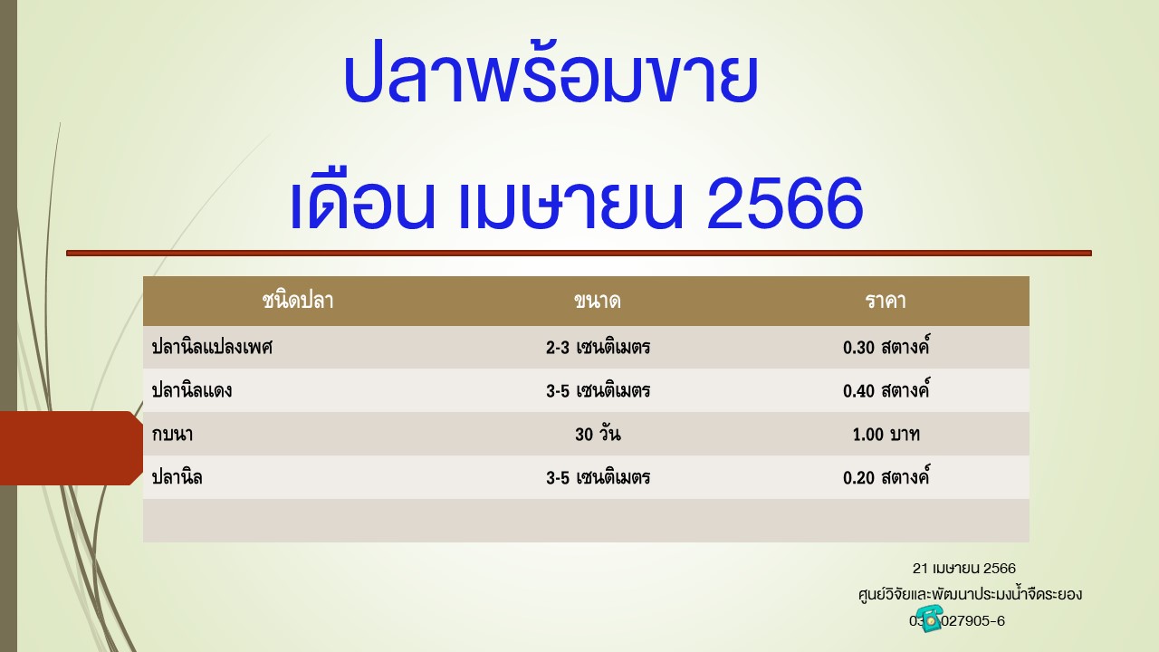 ปลาพร้อมขาย วันที่ 21 เมษายน 2566..คลิก