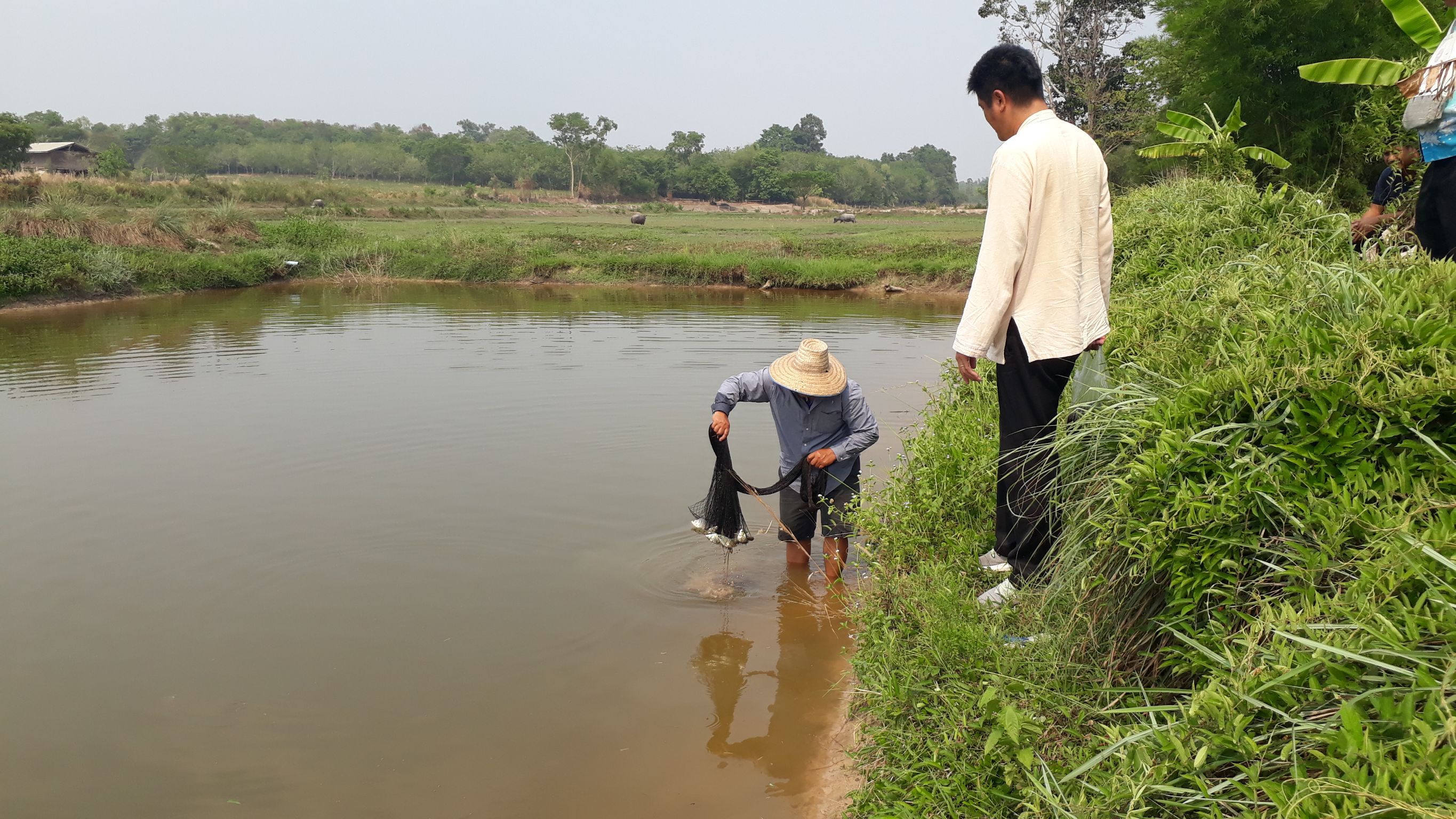 ติดตามและประเมินผล Zonnig by Agri Map