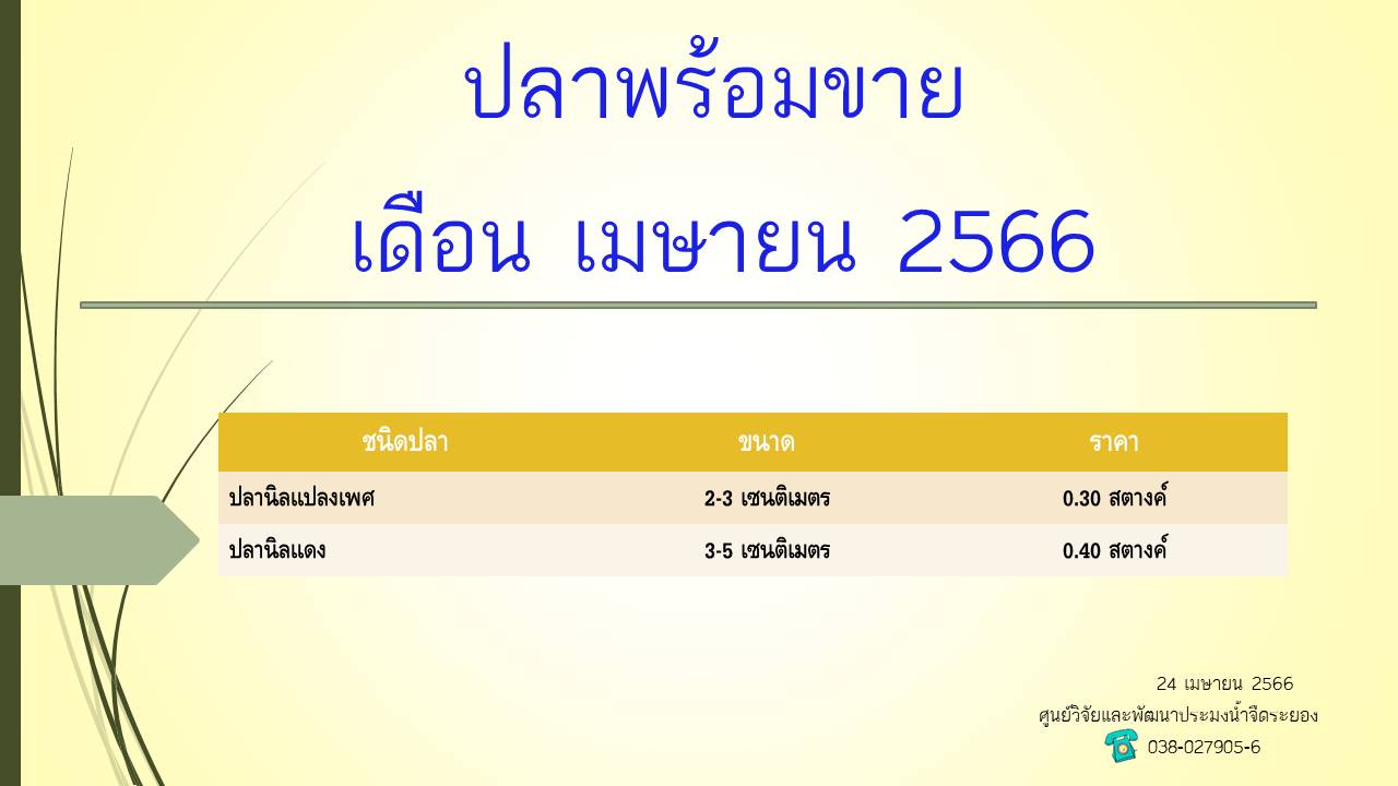 ปลาพร้อมขาย วันที่ 24 เมษายน 2566..คลิก