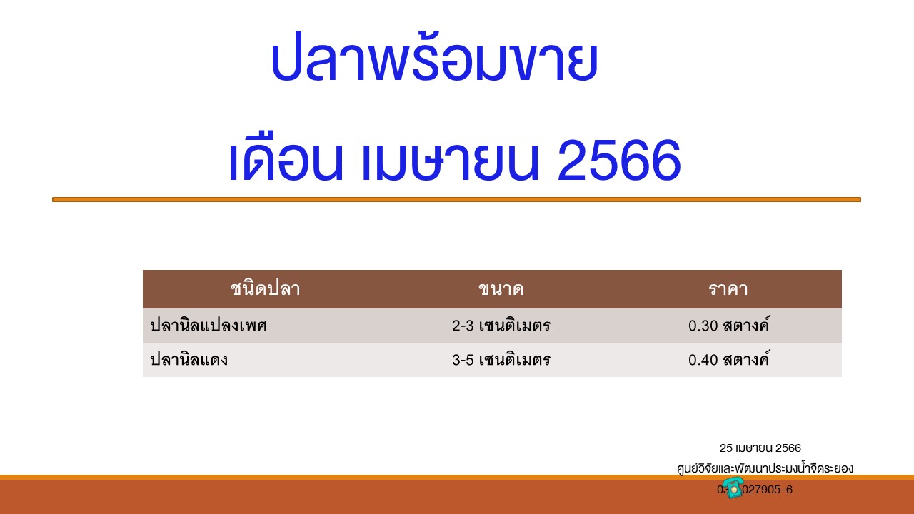 ปลาพร้อมขาย วันที่ 25 เมษายน 2566..คลิก