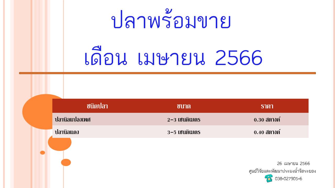 ปลาพร้อมขาย วันที่ 26 เมษายน 2566..คลิก