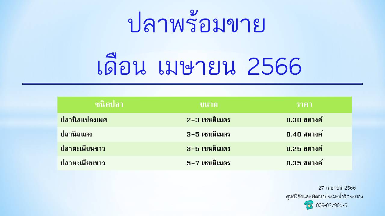 ปลาพร้อมขาย วันที่ 27 เมษายน 2566..คลิก