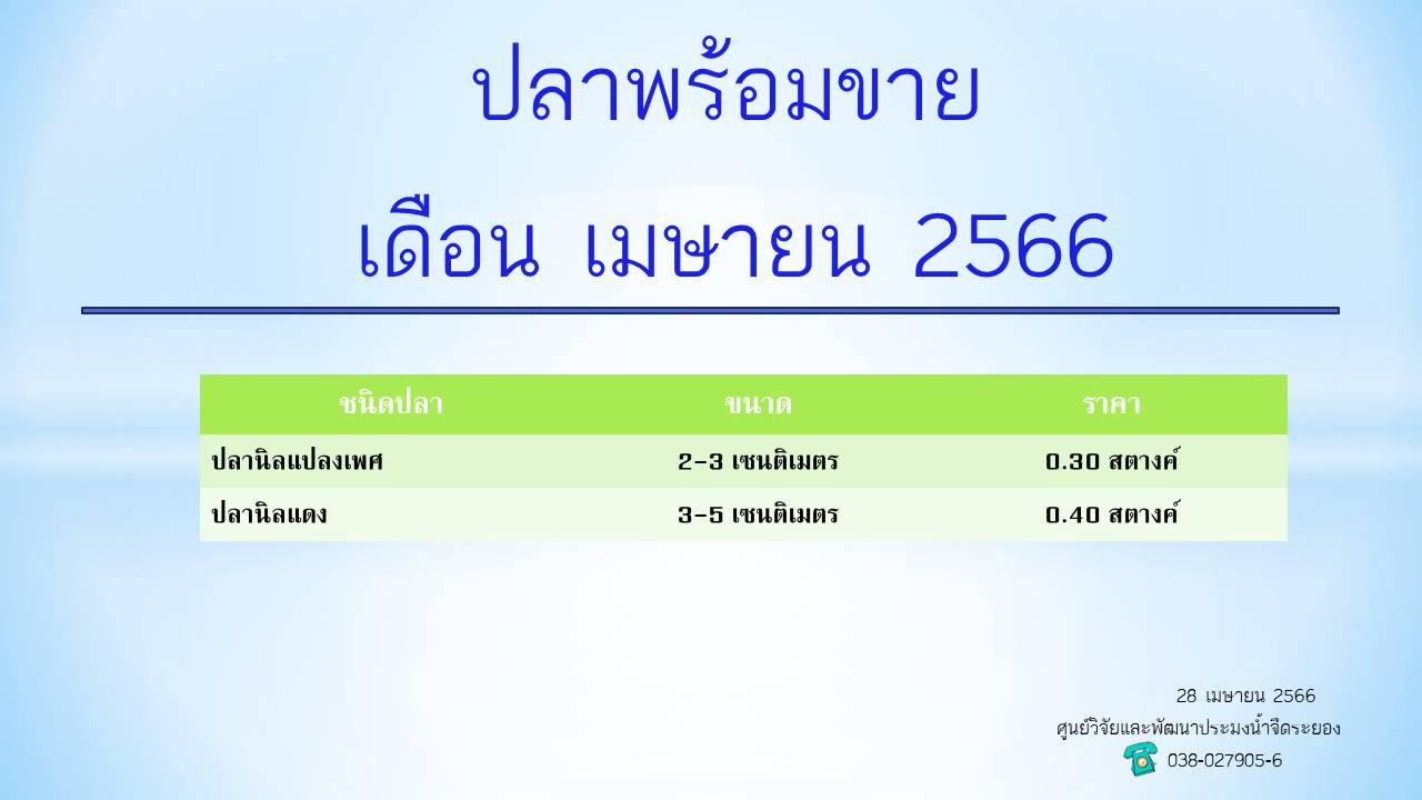 ปลาพร้อมขาย วันที่ 28 เมษายน 2566..คลิก
