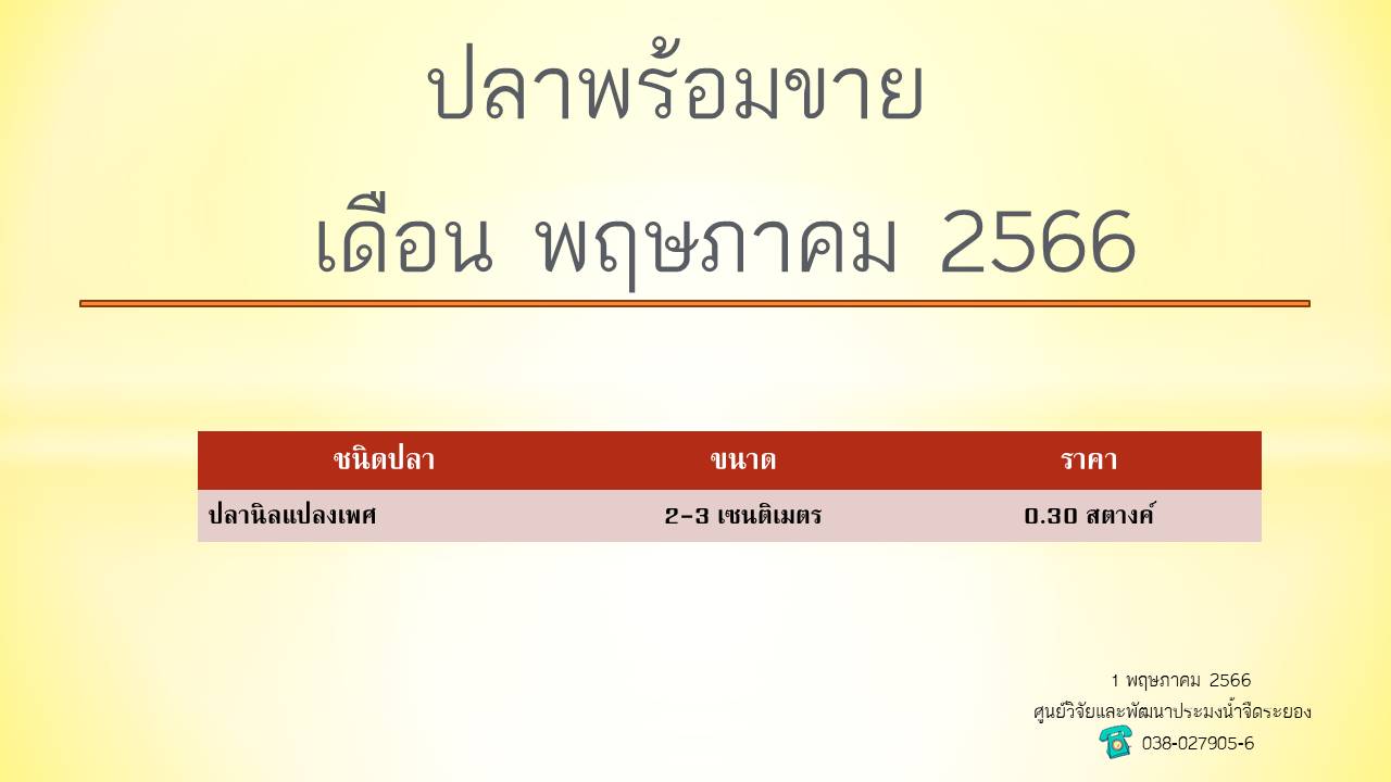 ปลาพร้อมขาย วันที่ 1 พฤษภาคม 2566..คลิก