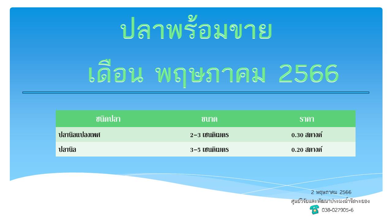 ปลาพร้อมขาย วันที่ 2 พฤษภาคม 2566..คลิก