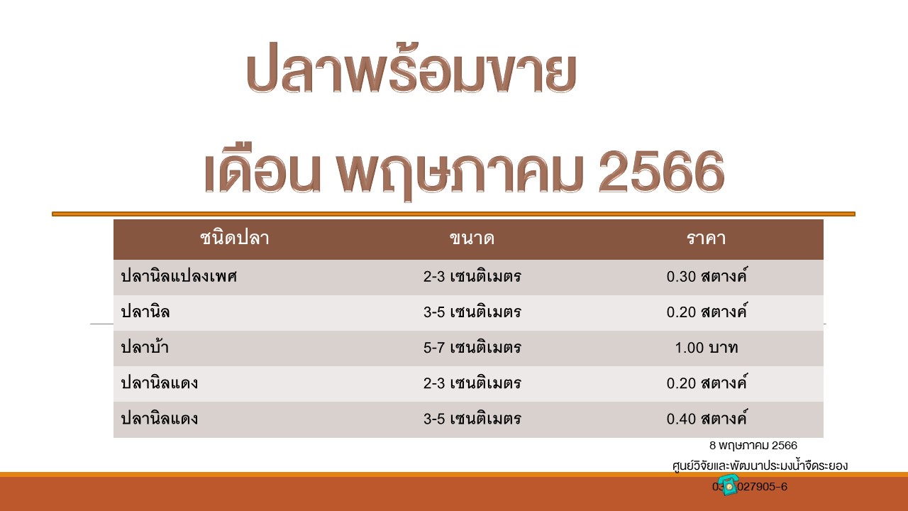 ปลาพร้อมขาย วันที่ 8 พฤษภาคม 2566..คลิก