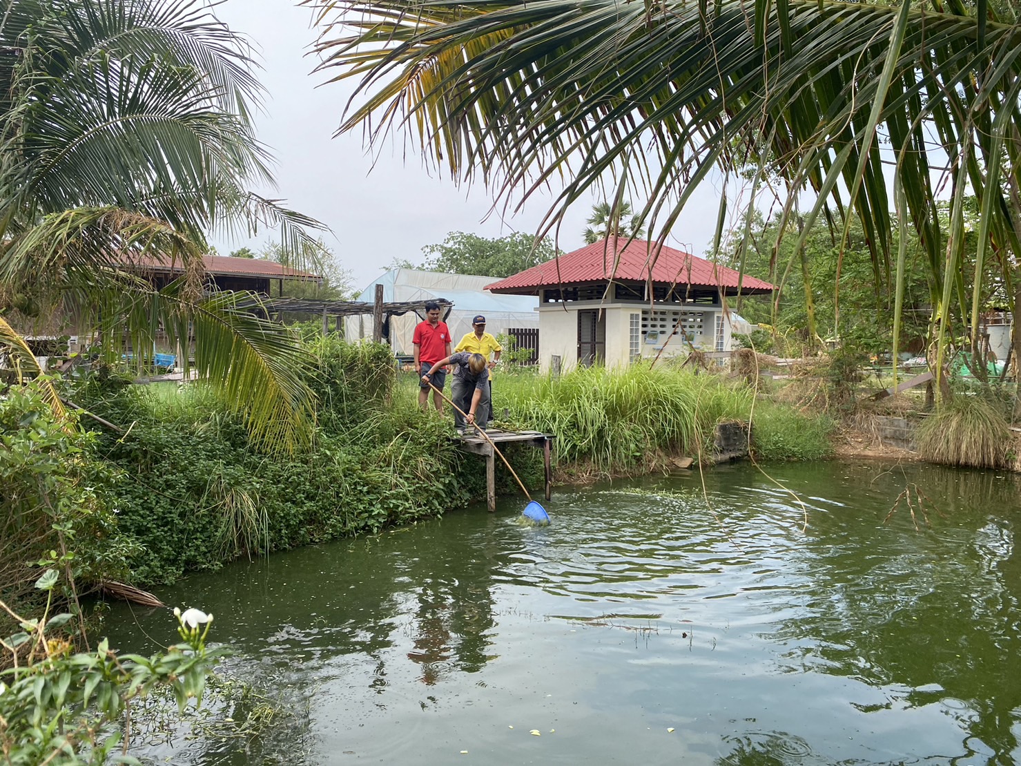 ติดตามงานโครงการและสุ่มวัดการเจริญเติบโต ปลาดุกในบ่อดิน