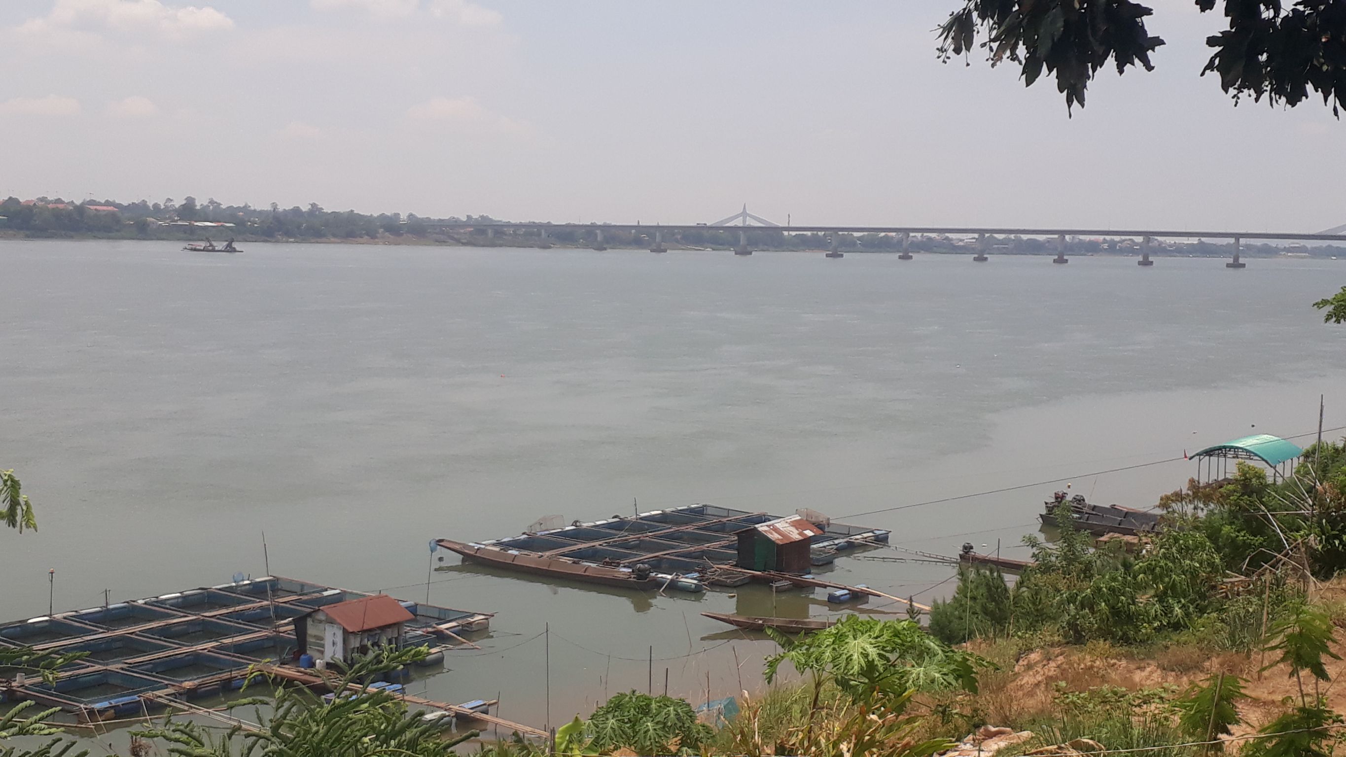 สำรวจสภาวะเศรษฐกิจและสังคมเกษตรกรหลังดำเนินการ โครงการระบบส่งเสริมเกษตรแบบแปลงใหญ่ (สัตว์น้ำจืด)..คลิก