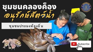 ส่งเสริมอาชีพ ให้ความรู้ในการเพาะพันธุ์สัตว์น้ำ  องค์กรชุมชนประมงท้องถิ่น  