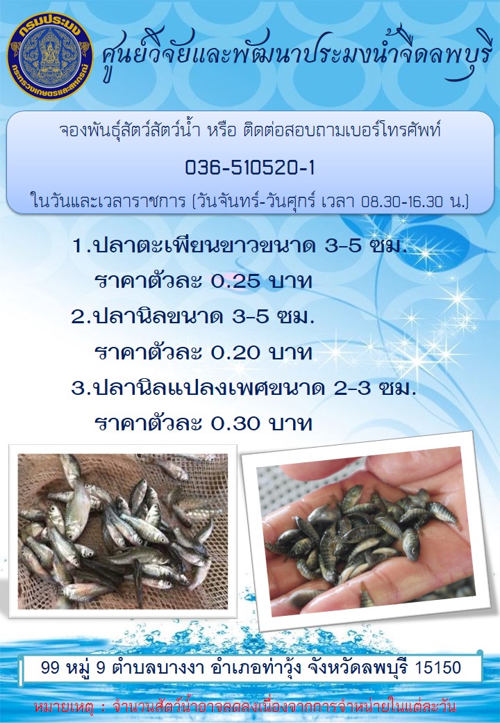 การติกต่อสั่งจองพันธ์ุสัตว์น้ำ ศูนย์วิจัยและพัฒนาประมงน้ำจืดลพบุรี..คลิก