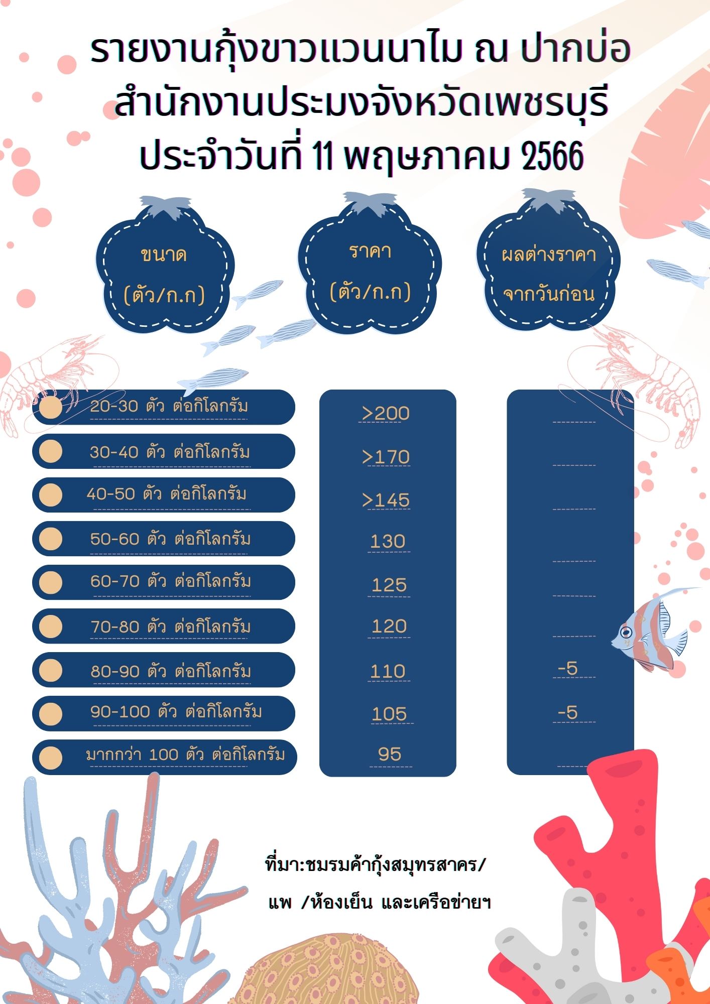 ราคากุ้งขาวแวนนาไม ประจำวันที่ 11 พฤษภาคม 2566..คลิก