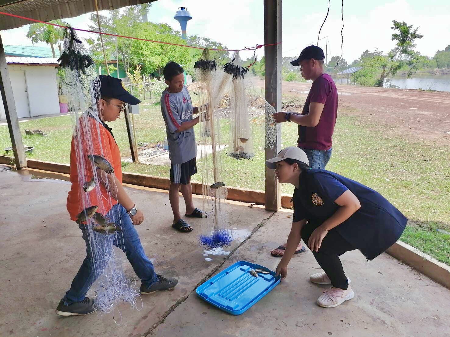 ประเมินผลการจับสัตว์น้ำต่อหน่วยการลงแรงประมง (CPUE) ก่อนปล่อยพันธุ์สัตว์น้ำ (ปลาเศรษฐกิจ แหล่งที่ 1)..คลิก