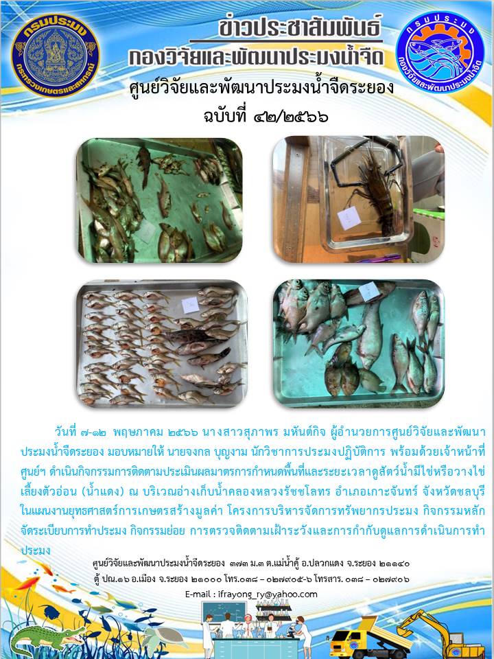 ข่าวประชาสัมพันธ์กิจกรรม ฉบับที่ 42/2566..คลิก