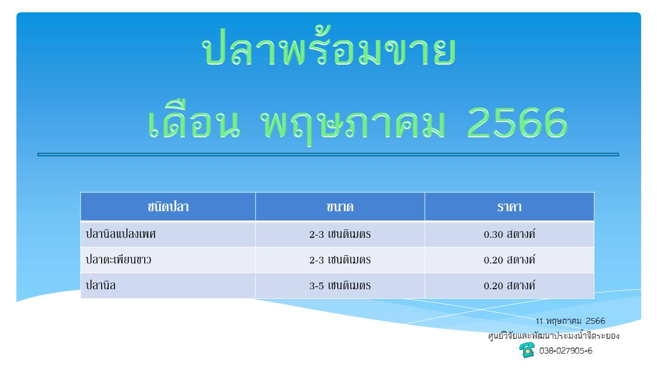 ปลาพร้อมขาย วันที่ 11 พฤษภาคม 2566..คลิก