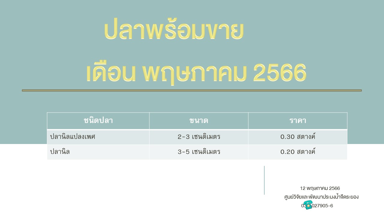 ปลาพร้อมขาย วันที่ 12 พฤษภาคม 2566..คลิก