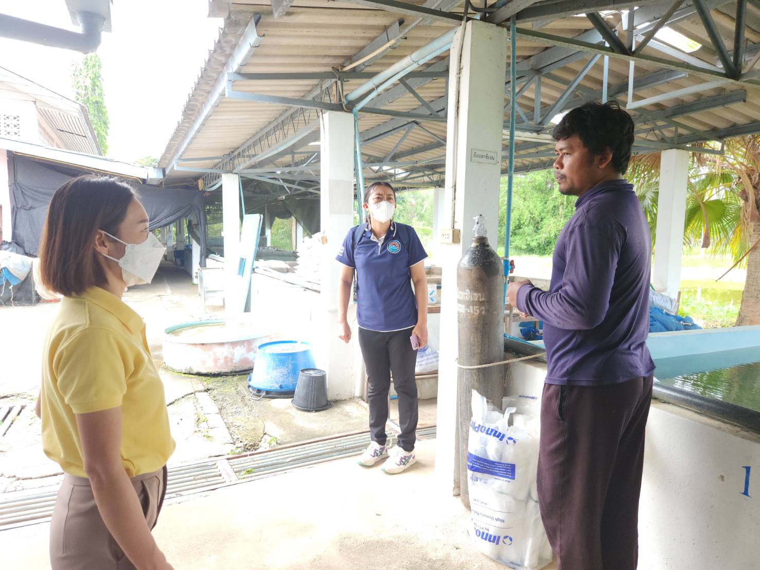 ตรวจประเมินโรงเพาะพันธุ์และอนุบาลสัตว์น้ำจืด ตามมาตรฐานGAP กรมประมง  ของศูนย์วิจัยและพัฒนาการเพาะเลี้ยงสัตว์น้ำจืดเชียงใหม่ (หน่วยที่1,หน่วยที่2)..คลิก