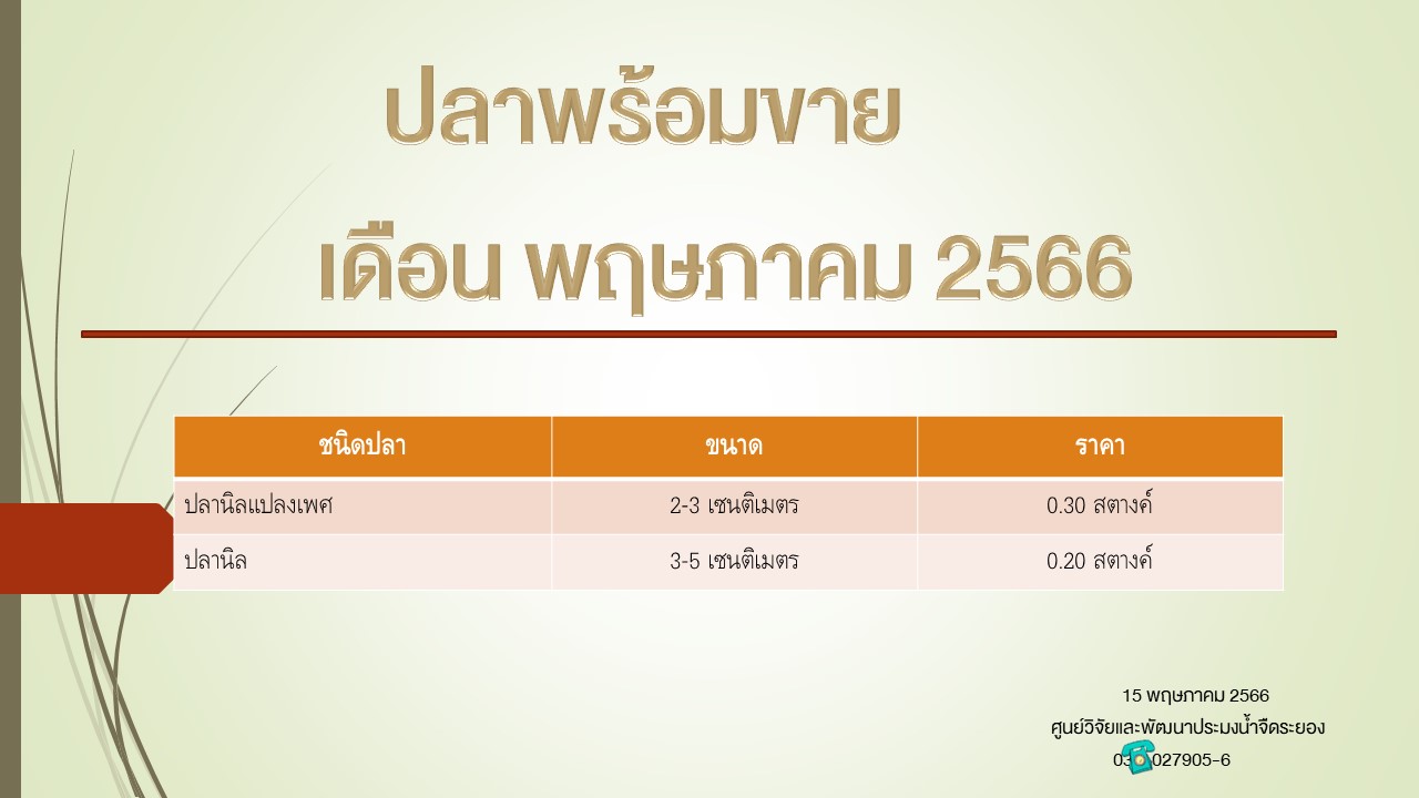 ปลาพร้อมขาย วันที่ 15 พฤษภาคม 2566..คลิก