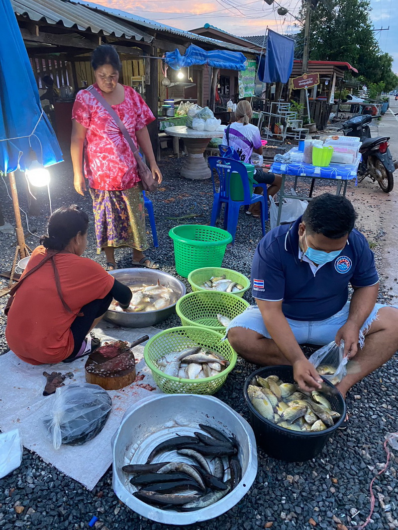 ดำเนินการสำรวจตัวอย่างปลาน้ำจืดมีไข่ ในพื้นที่ทะเลน้อยจังหวัดพัทลุง..คลิก