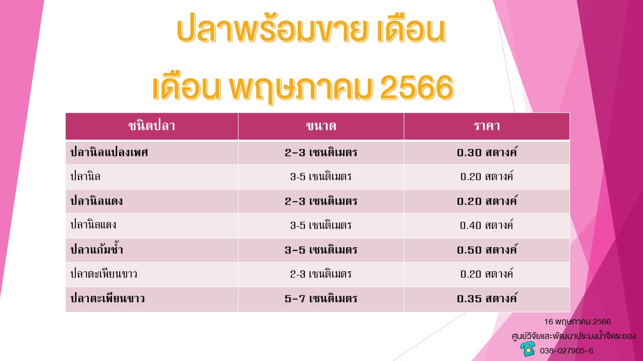 ปลาพร้อมขาย วันที่ 16 พฤษภาคม 2566..คลิก