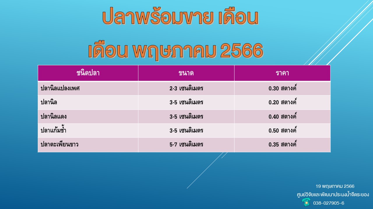 ปลาพร้อมขาย วันที่ 19 พฤษภาคม 2566..คลิก