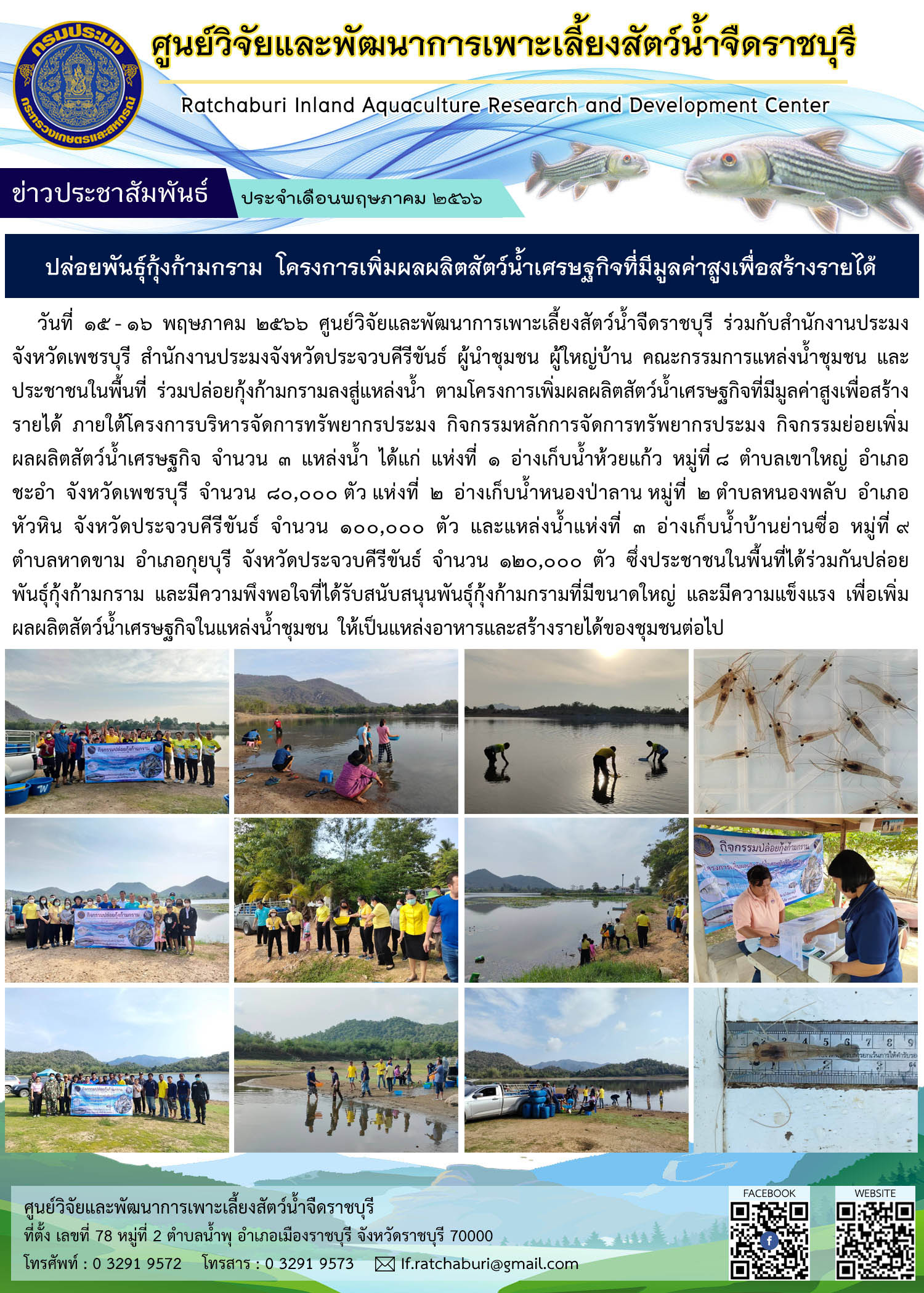 ปล่อยกุ้งก้ามกรามลงสู่แหล่งน้ำ จังหวัดเพชรบุรี และจังหวัดประจวบคีรีขันธ์ ตามโครงการเพิ่มผลผลิตสัตว์น้ำเศรษฐกิจที่มีมูลค่าสูงเพื่อสร้างรายได้..คลิก
