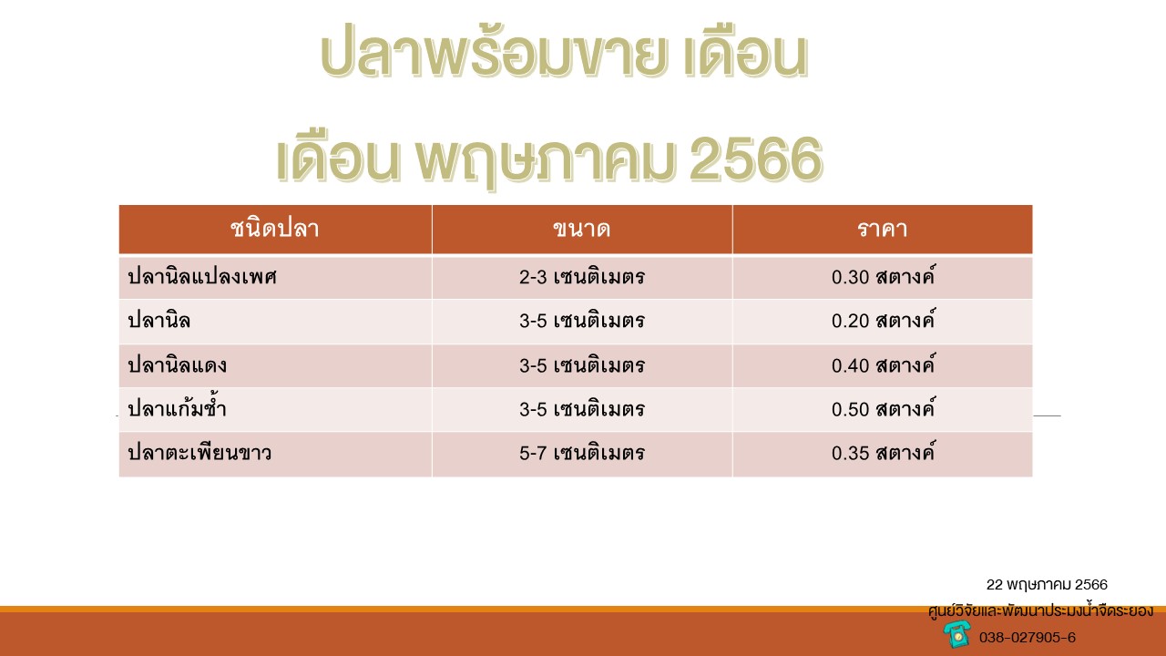 ปลาพร้อมขาย วันที่ 22 พฤษภาคม 2566..คลิก