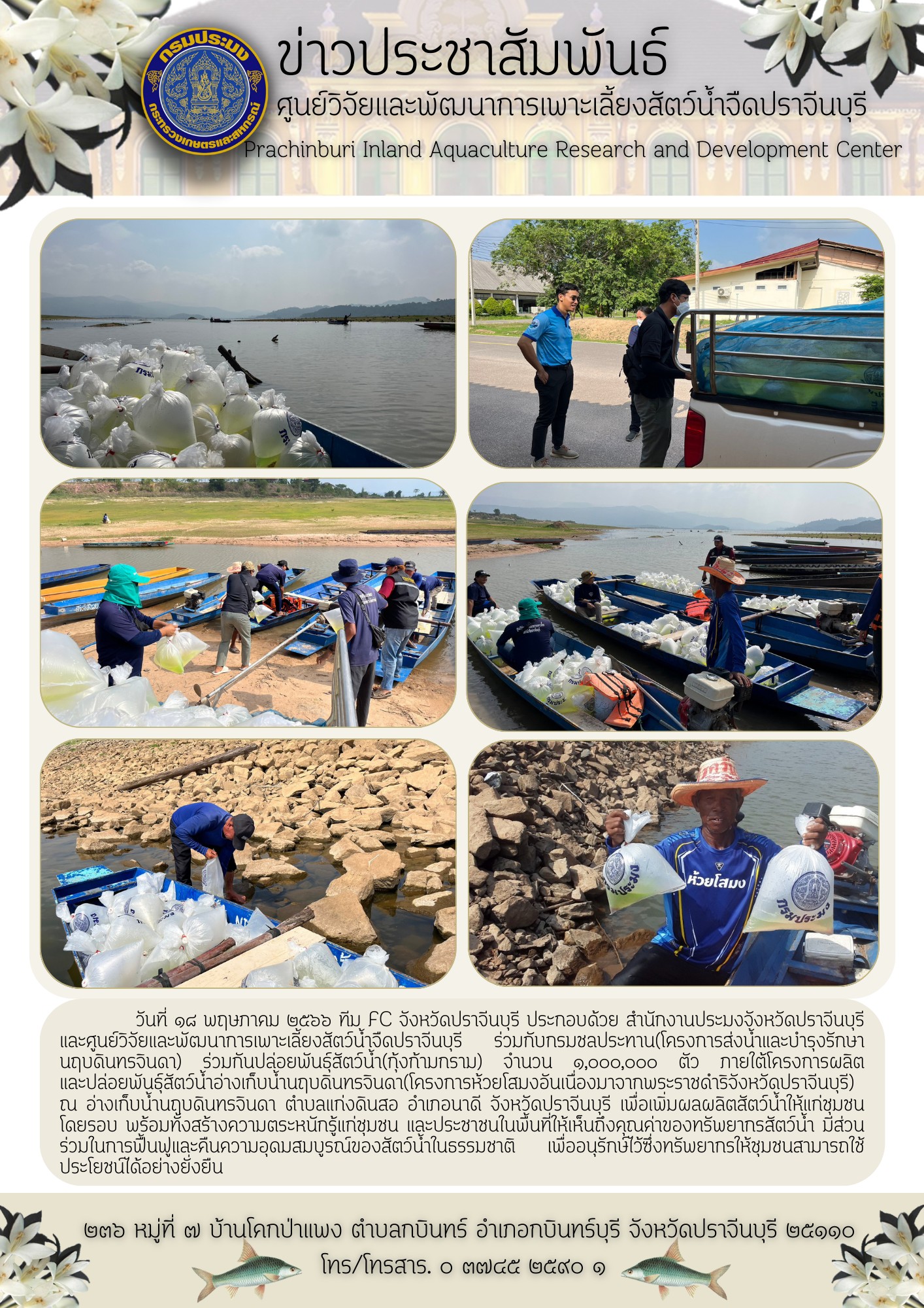 ปล่อยกุ้งก้ามกราม จำนวน 1 ล้านตัว วันที่ 18 พ.ค. 66..คลิก