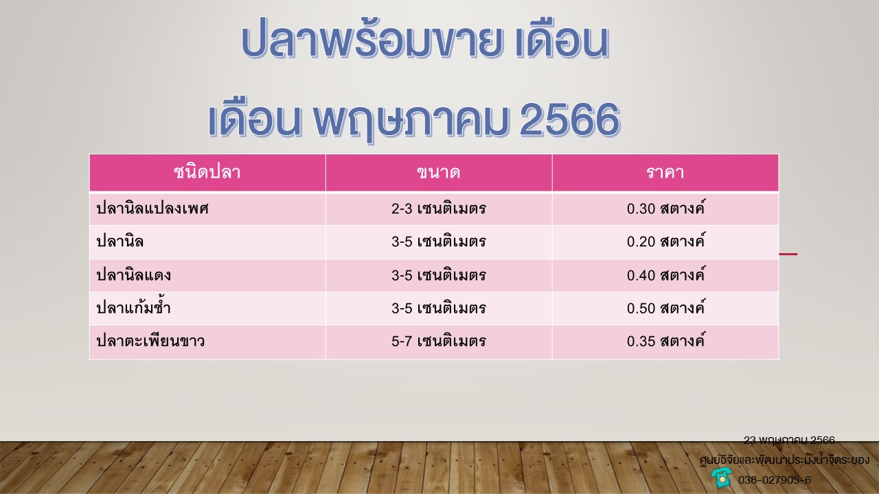 ปลาพร้อมขาย วันที่ 23 พฤษภาคม 2566..คลิก