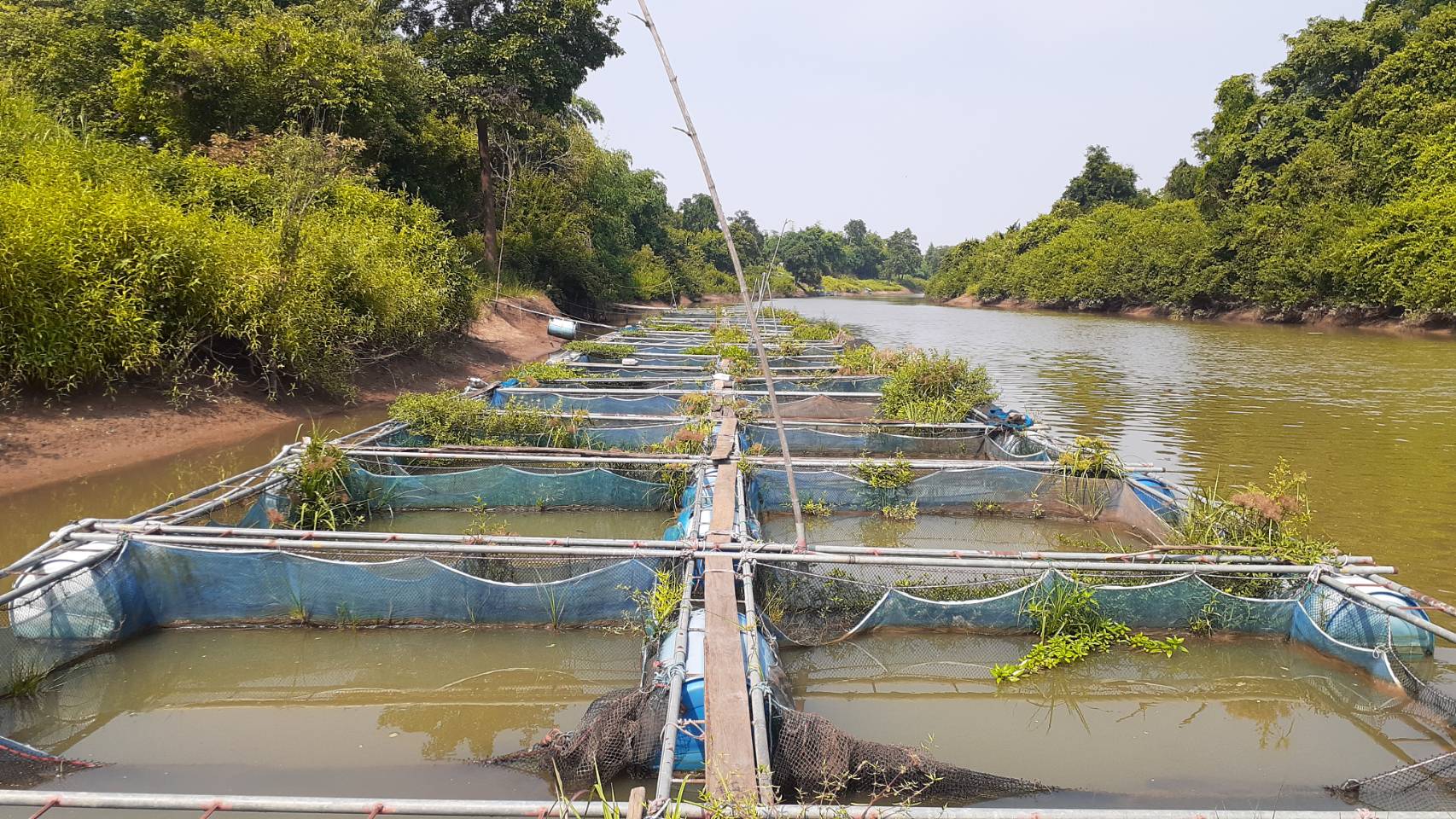 ตรวจวัดคุณภาพน้ำในการเพาะเลี้ยงสัตว์น้ำ โครงการบริหารจัดการทรัพยากรประมง