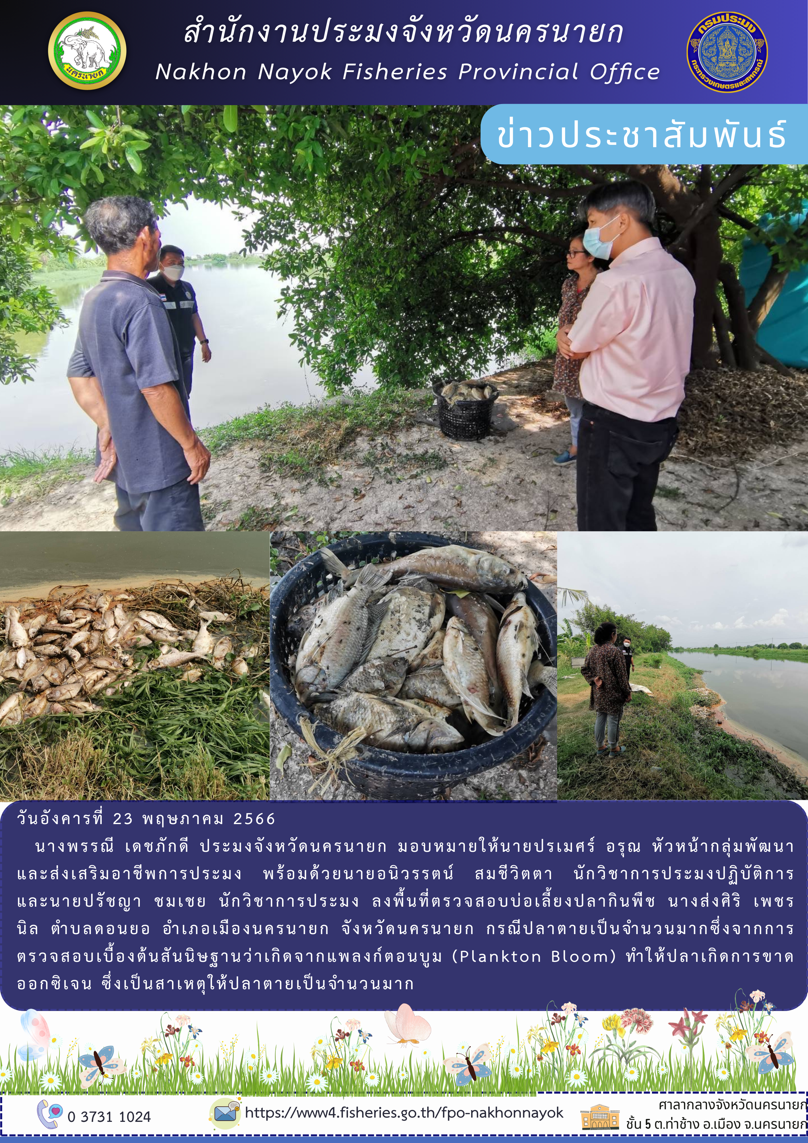 ปลาตาย !!! เพราะขาดออกซิเจนเกิดจากอะไร ?..คลิก