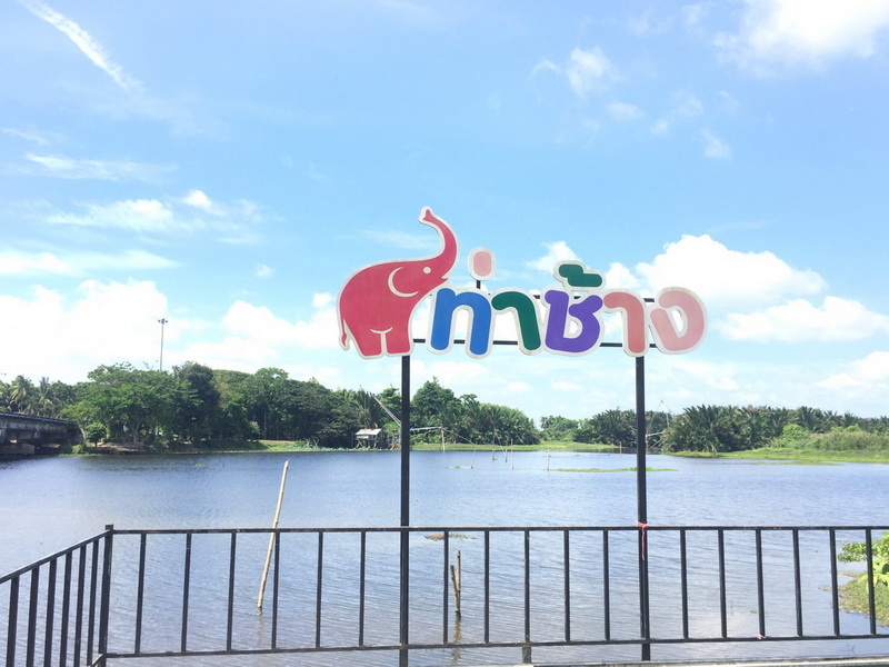 สนับสนุนพันธุ์ปลากินพืช เพื่อปล่อยลงสู่ทะเลสาบสงขลา อ.ควนขนุน จ.พัทลุง..คลิก