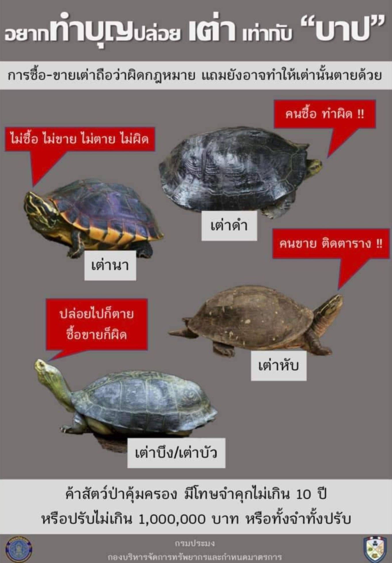อยากทำบุญปล่อยเต่า เท่ากับ “บาป”    ครอบครอง เต่า เท่ากับ “ผิด”