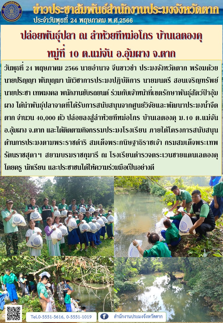 ปล่อยพันธุ์ปลา ณ ลำห้วยทีหม่อโกร บ้านเลตองคุ  หมู่ที่ 10 ต.แม่จัน อ.อุ้มผาง จ.ตาก..คลิก