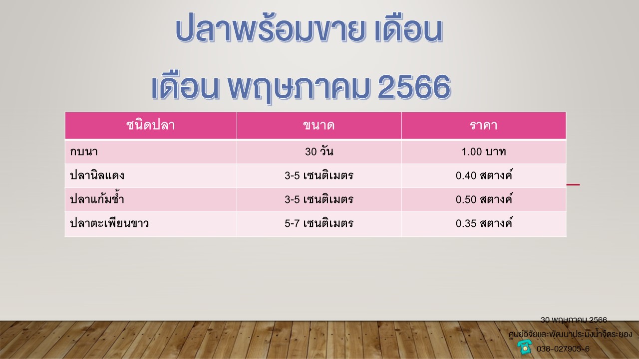 ปลาพร้อมขาย วันที่ 30 พฤษภาคม 2566..คลิก