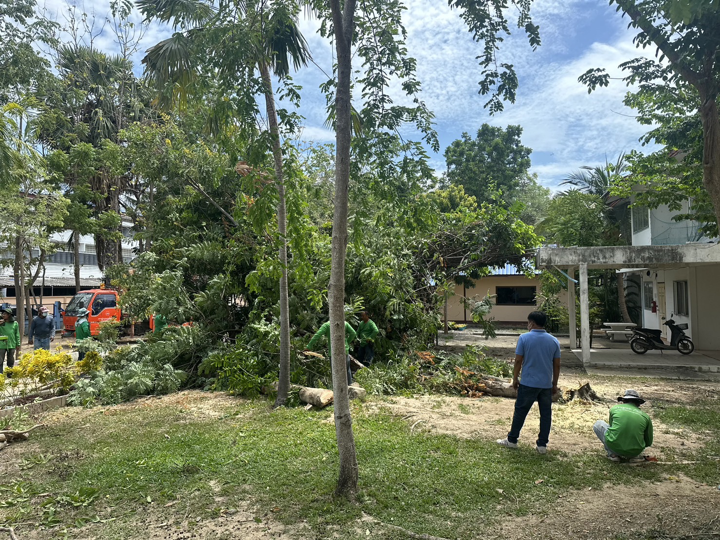 สำนักงานประมงจังหวัดเพชรบุรี ได้รับความอนุเคราะห์จากเจ้าหน้าที่องค์การบริหารส่วนตำบลธงชัย อำเภอเมืองเพชรบุรี จังหวัดเพชรบุรี มาดำเนินการตัดตกแต่งต้นไม้ในพื้นที่บริเวณสำนักงานฯ