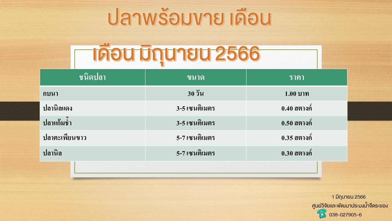 ปลาพร้อมขาย วันที่ 1 มิถุนายน 2566..คลิก