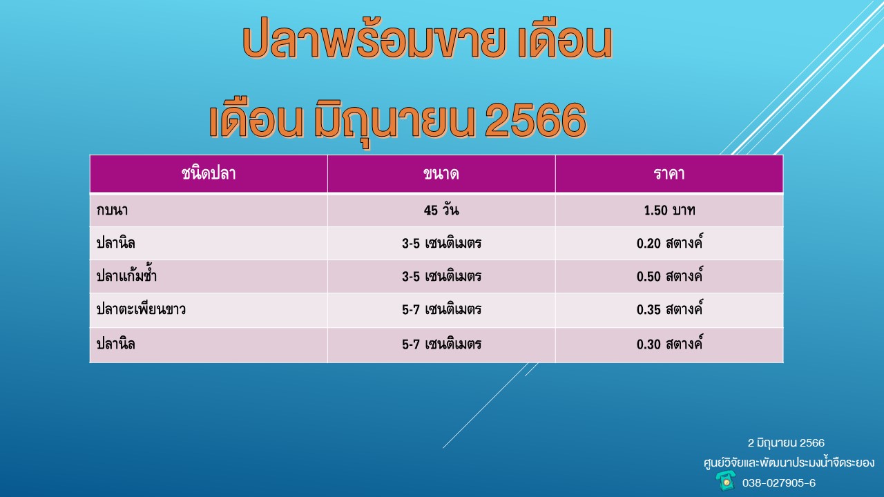 ปลาพร้อมขาย วันที่ 2 มิถุนายน 2566..คลิก