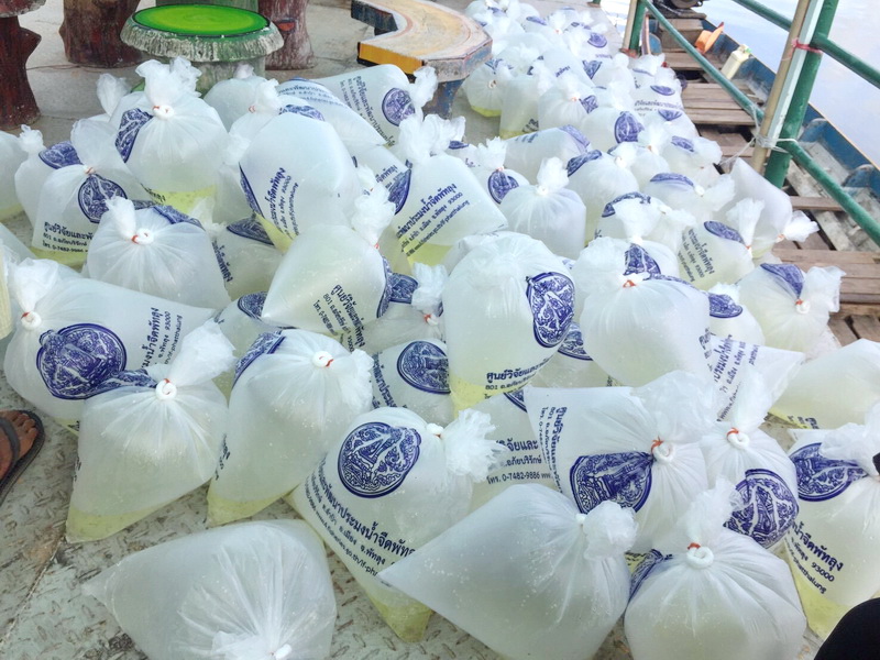 ปล่อยพันธุ์กุ้งก้ามกราม ลงสู่คลองลำปำ อ.เมือง จ.พัทลุง..คลิก