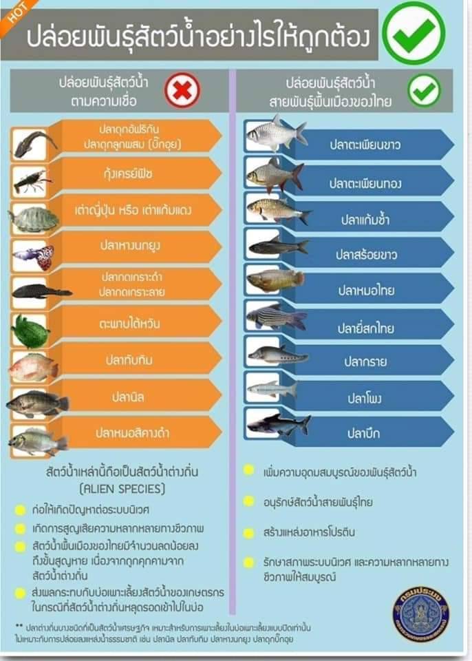 ปล่อยปลาได้บุญ ไม่เบียดเบียนสัตว์อื่น..คลิก