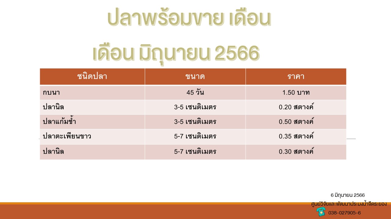 ปลาพร้อมขาย วันที่ 6 มิถุนายน 2566..คลิก