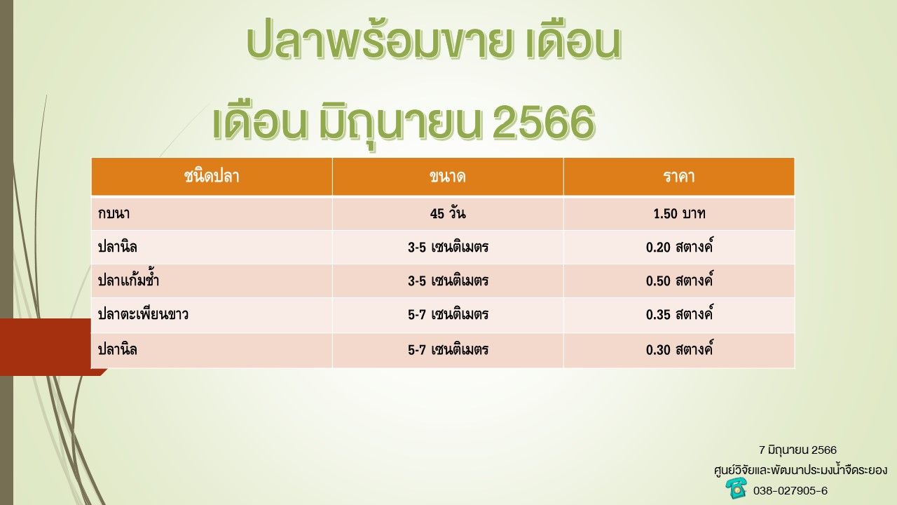 ปลาพร้อมขาย วันที่ 7 มิถุนายน 2566..คลิก