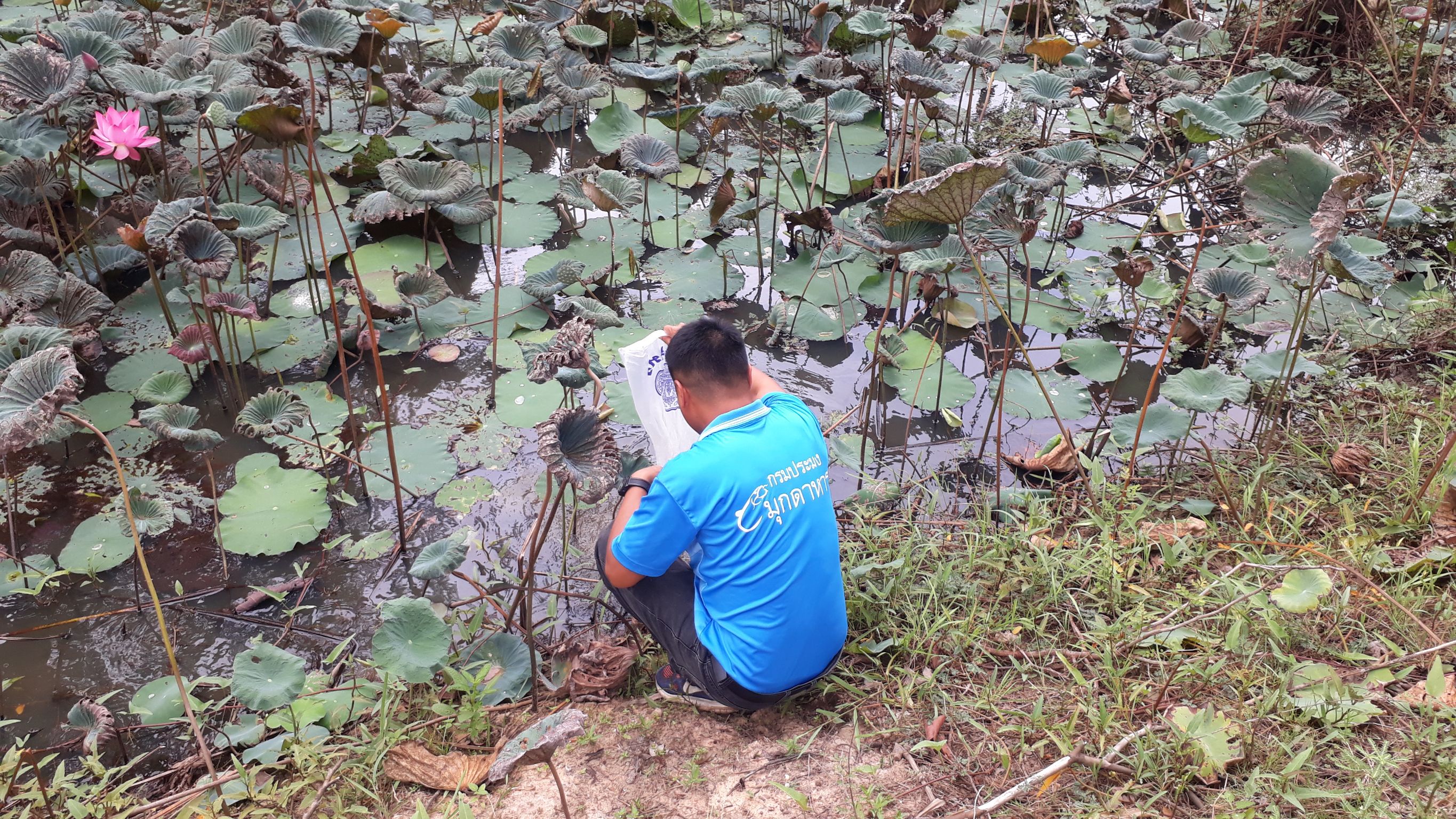 ปล่อยพันธุ์สัตว์น้ำเพื่อเพิ่มผลผลิตในแหล่งน้ำชุมชน..คลิก
