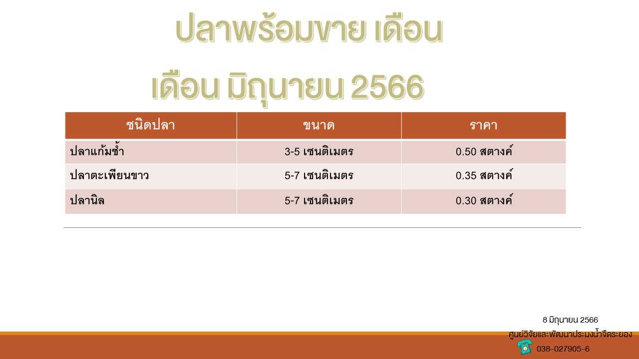 ปลาพร้อมขาย วันที่ 8 มิถุนายน 2566..คลิก