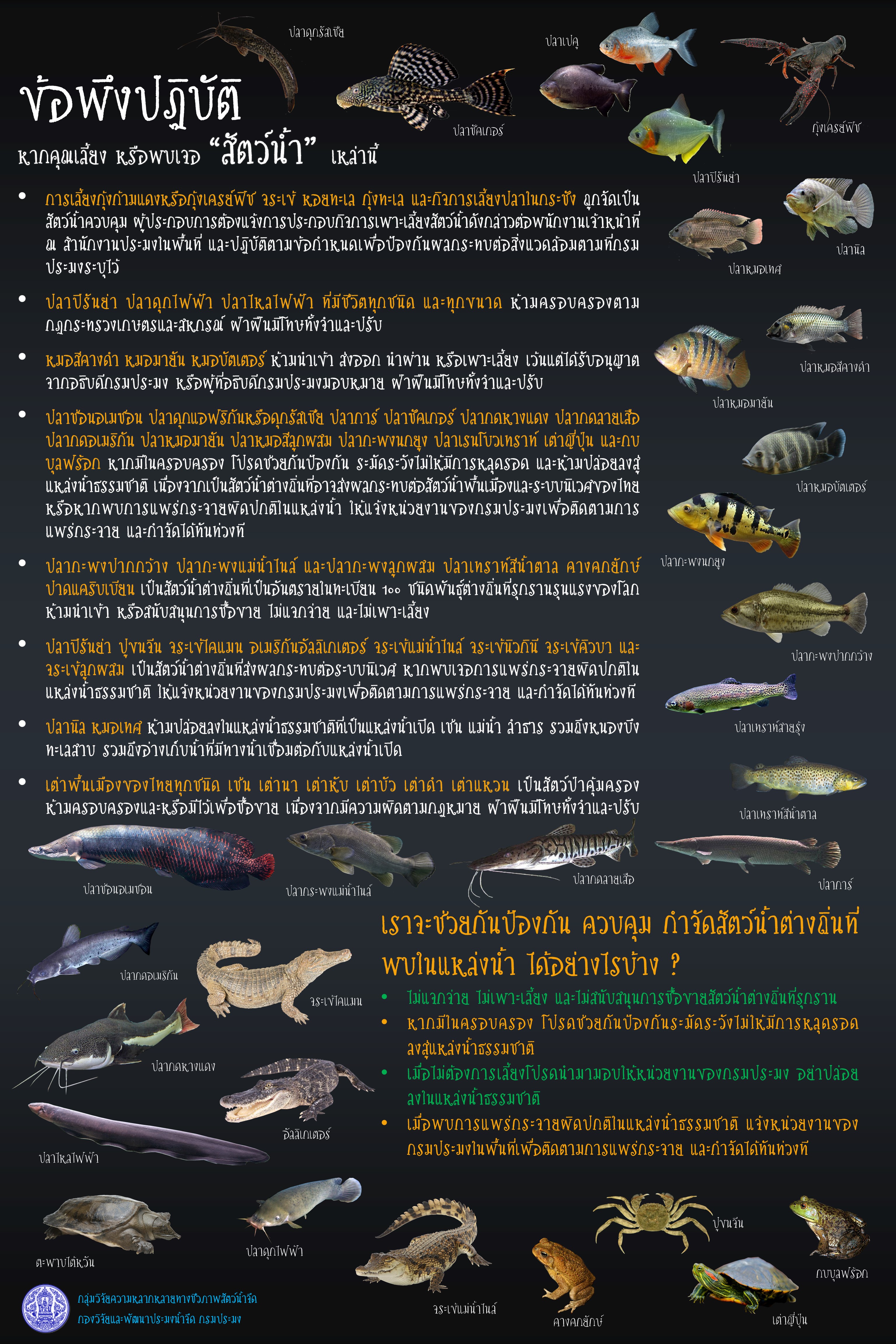 สำนักงานประมงจังหวัดเชียงรายขอประชาสัมพันธ์ ปล่อยสัตว์น้ำอย่างไรให้ถูกวิธี ได้บุญแถมช่วยรักษาระบบนิเวศให้ยั่งยืน