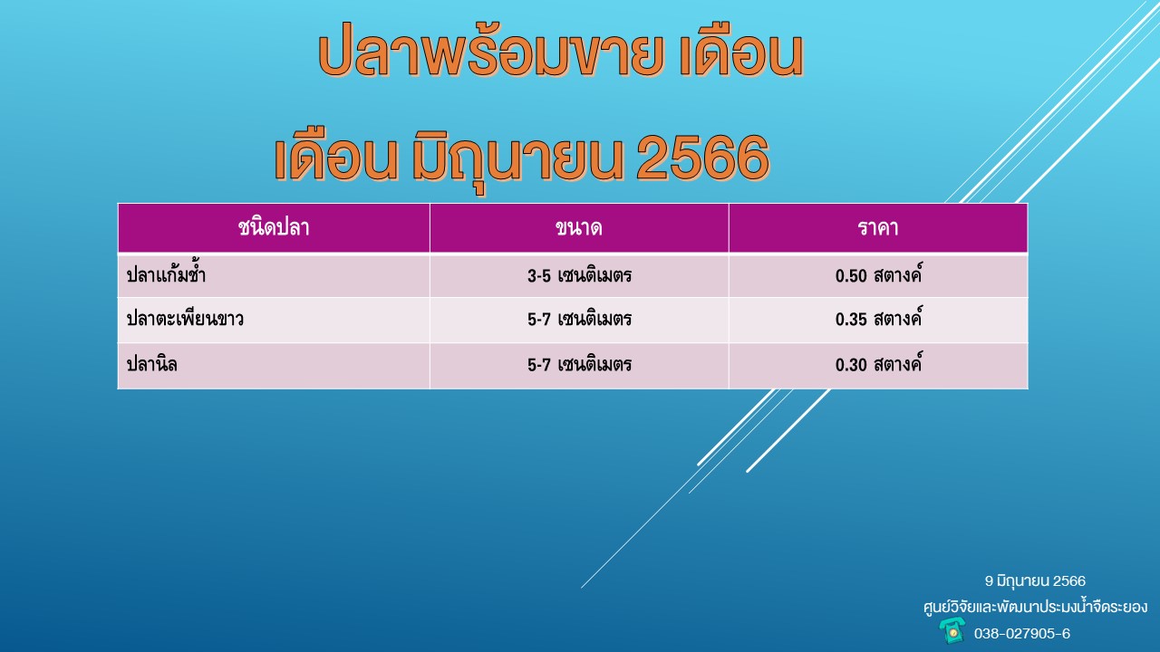 ปลาพร้อมขาย วันที่ 9 มิถุนายน 2566..คลิก
